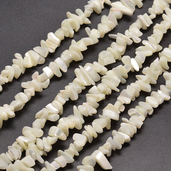 

PandaHall Natural White Mother of Pearl Shell Chip Bead Strands, Shell Shards, 5~15x5~8mm , Hole: 1mm, about 31.5 inch White Shell Chip