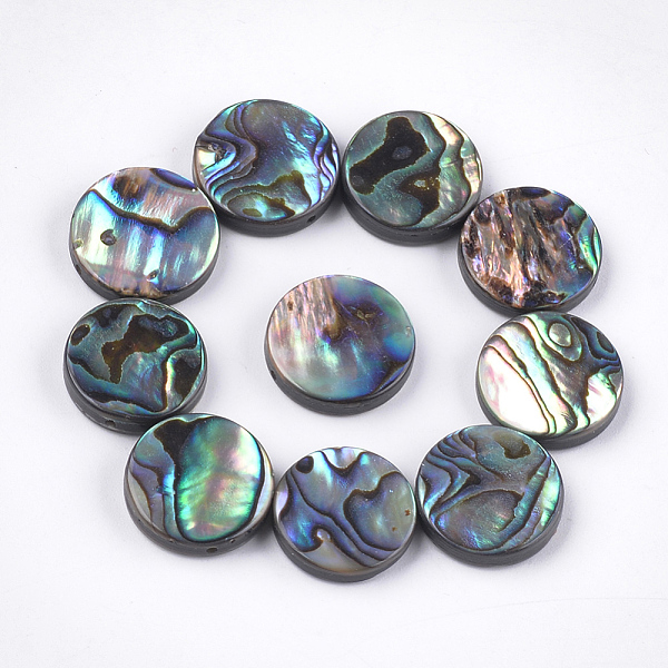 Abalone Shell/Paua … - image