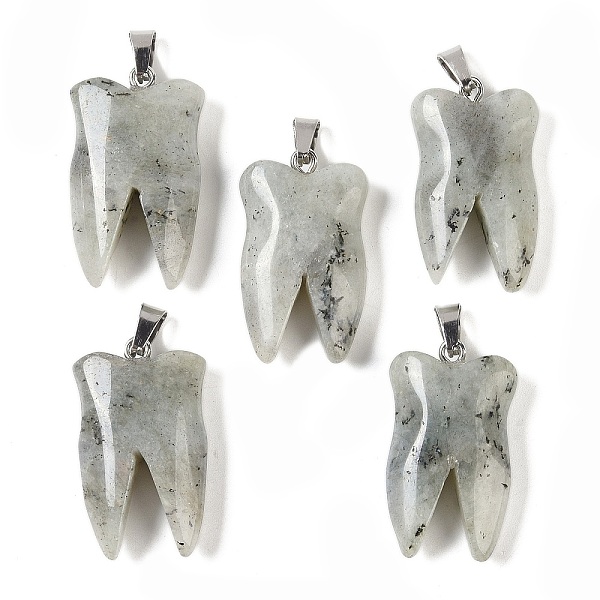 

PandaHall Natural Labradorite Pendants, with Stainless Steel Color Stainless Steel Findings, Tooth Charms, 39.5~40x19~19.5x8~8.5mm, Hole...