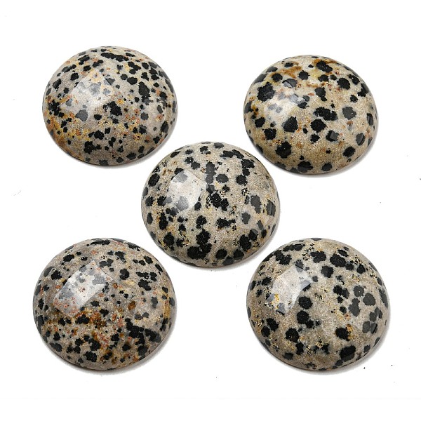 

PandaHall Natural Dalmatian Jasper Cabochons, Flat Round, 30x7~8.5mm Dalmatian Jasper Flat Round