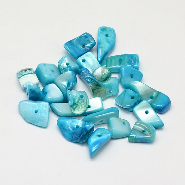 

PandaHall Dyed Natural Freshwater Shell Nuggets Chips Beads, Light Sky Blue, 10~20x5~15mm, Hole: 1mm, about 330pcs/500g Freshwater Shell...