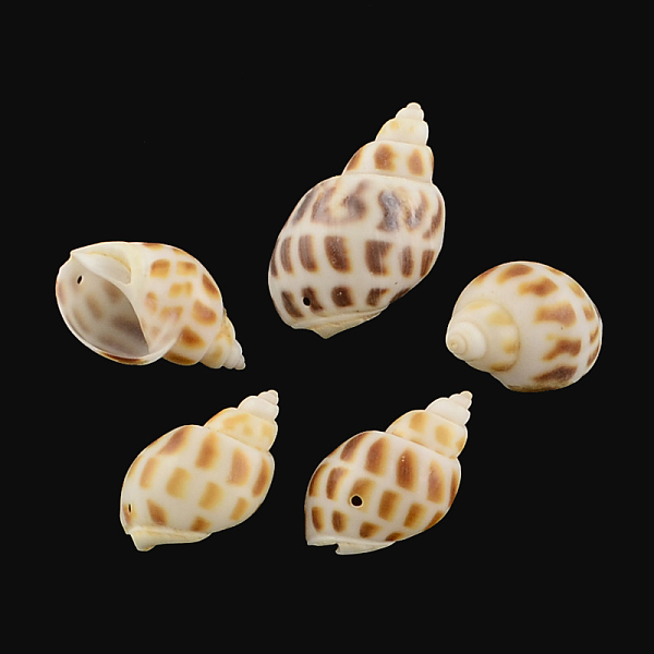 

PandaHall Spiral Shell Pendants, Sienna, 28~38x18~24x16~21mm, Hole: 1mm, about 183pcs/500g Other Sea Shell Shell Shape Brown