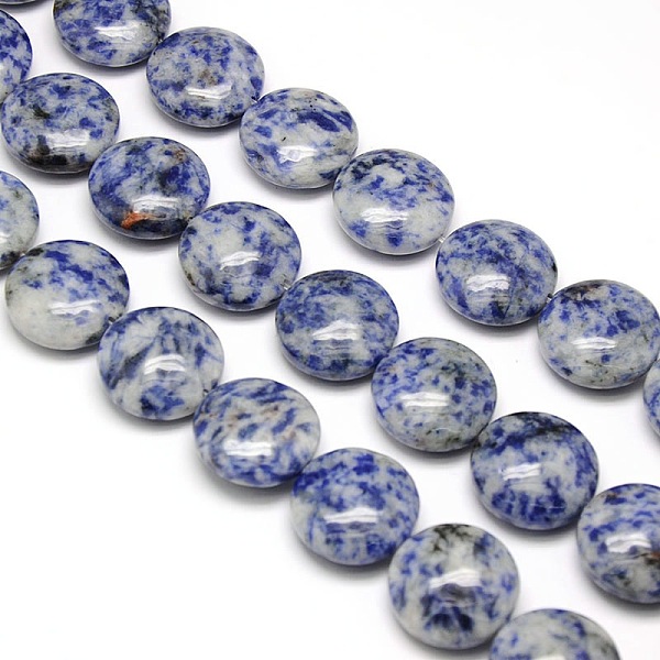 

PandaHall Natural Flat Round Blue Spot Jasper Beads Strands, 20x7~9mm, Hole: 1mm, about 20pcs/strand, 15.74 inch Blue Spot Jasper Flat Round
