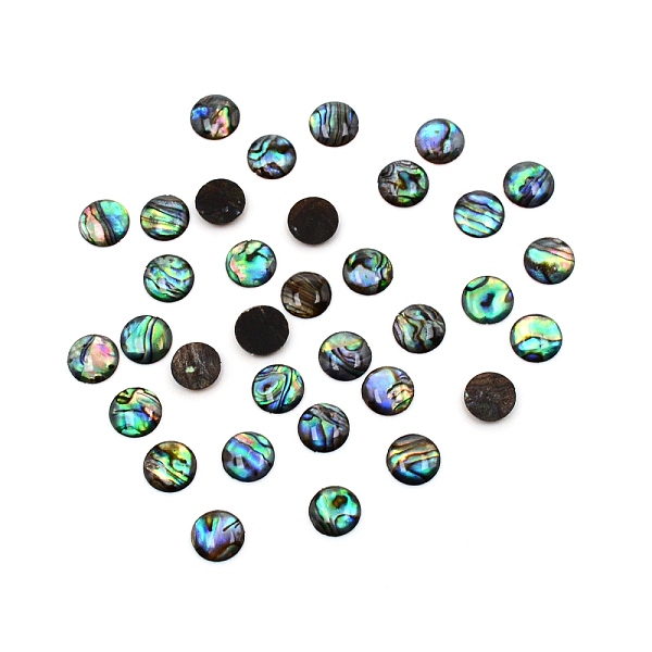 

PandaHall Paua Shell Cabochons, Half Round, 10x2mm Paua Shell Half Round