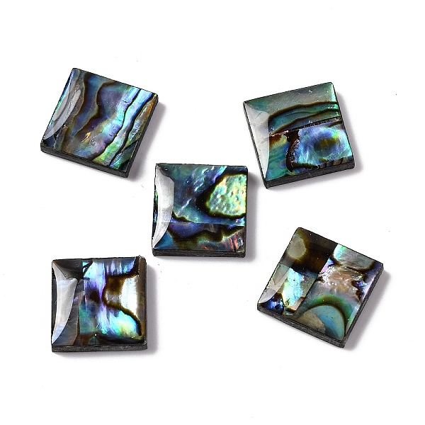 Natural Paua Shell … - image