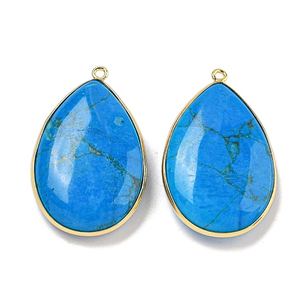 

PandaHall Dyed Natural Howlite Teardrop Pendants, Rack Plating Brass Drop Charms, Long-Lasting Plated, Golden, Dodger Blue...
