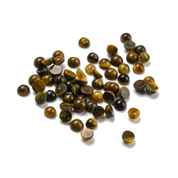 

PandaHall Natural Tiger Eye Cabochons, Half Round, 2x1mm Tiger Eye Half Round