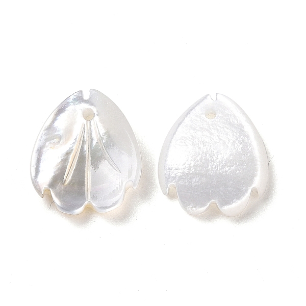 

PandaHall Natural White Shell Charms, Flower Petal, Seashell Color, 12~12.5x10.5x2~2.5mm, Hole: 1mm White Shell Petaline