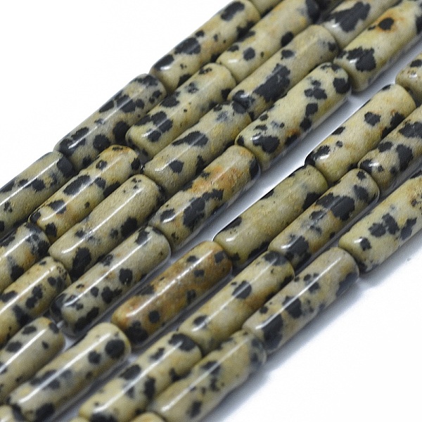

PandaHall Natural Dalmatian Jasper Beads Strands, Column, 11~15x3.5~4.5mm, Hole: 1~1.2mm, about 28~30pcs/strand, 15.1~15.9 inch(38.5~40.5cm)...
