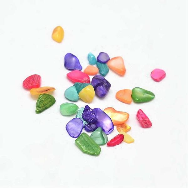 

PandaHall Dyed Natural Freshwater Shell Chip Beads, No Hole, Mixed Color, 3~19x1~8mm Freshwater Shell Chip Multicolor