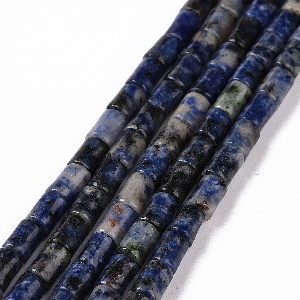 

PandaHall Natural Blue Spot Jasper Beads Strands, Column, 7~7.5x5mm, Hole: 1mm, about 46pcs/strand, 14.76 inch(37.5cm) Blue Spot Jasper...