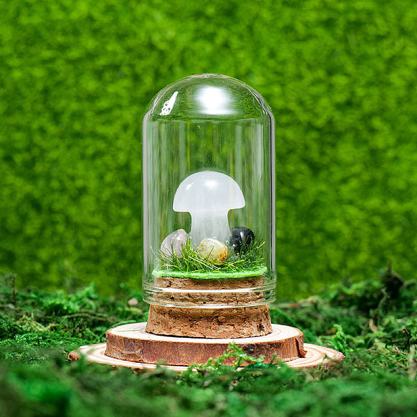 

PandaHall Glass Dome Cover with Natural Quartz Crystal Mushroom Inside, Cloche Bell Jar Terrarium with Cork Base, Micro Landscape Garden...