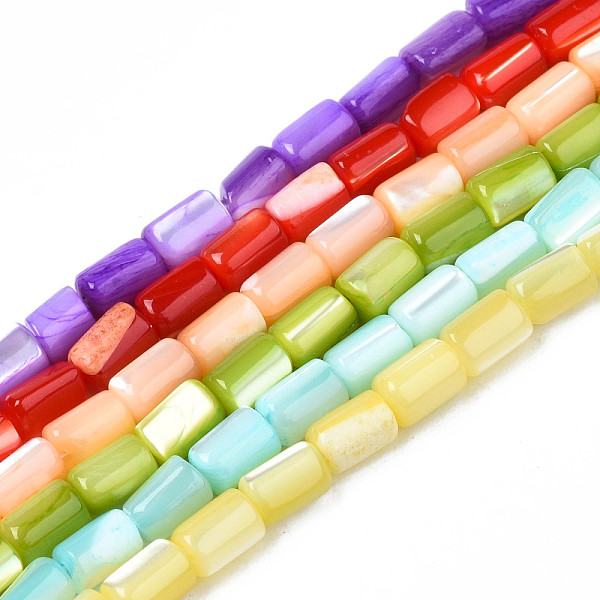 

PandaHall Natural Freshwater Shell Beads Strands, Dyed, Column, Mixed Color, 4~5x3~3.5mm, Hole: 0.9mm, about 77~78pcs/strand, 15.55..., Multicolor