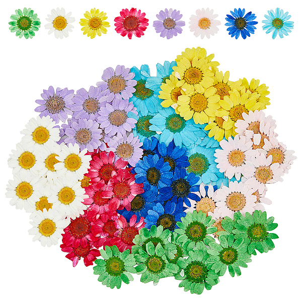 

PandaHall HOBBIESAY 80Pcs 8 Colors Pressed Dried Flowers, for Cellphone, Photo Frame, Scrapbooking DIY and Resin Art Floral Decors, Mixed..., Multicolor
