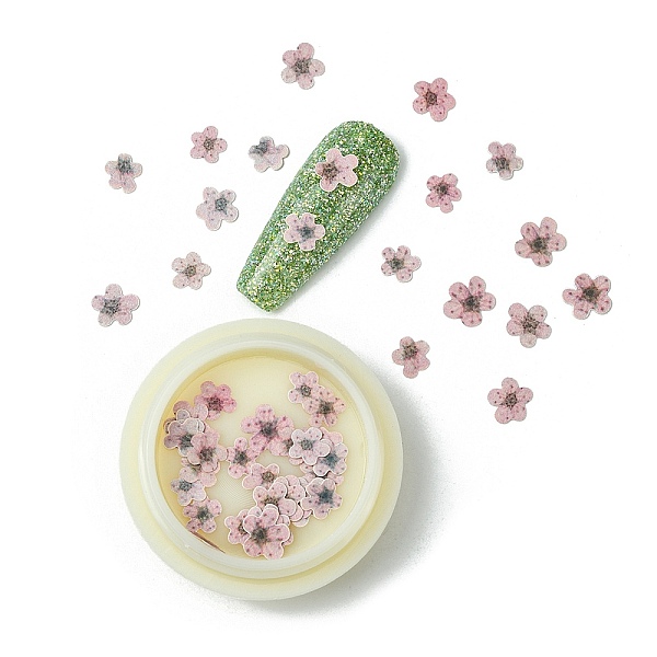 

PandaHall Paper Cabochons, Nail Art Decorations, Flower, Misty Rose, 5~7x5~7x0.1mm, 50pcs/box Paper Flower Red