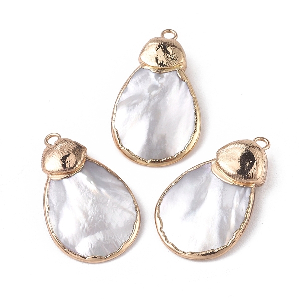 

PandaHall Natural Shell Pendants, with Brass Findings, Edge Golden Plated, Teardrop, Seashell Color, 31~32x18.5x6~7mm, Hole: 2mm Other Sea...