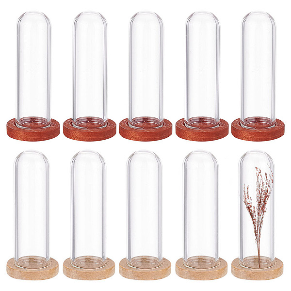 

PandaHall 10Pcs 2 Colors Glass Dome Cover, Decorative Display Case, Cloche Bell Jar Terrarium with Wooden Base, Mixed Color, 40x12mm..., Multicolor