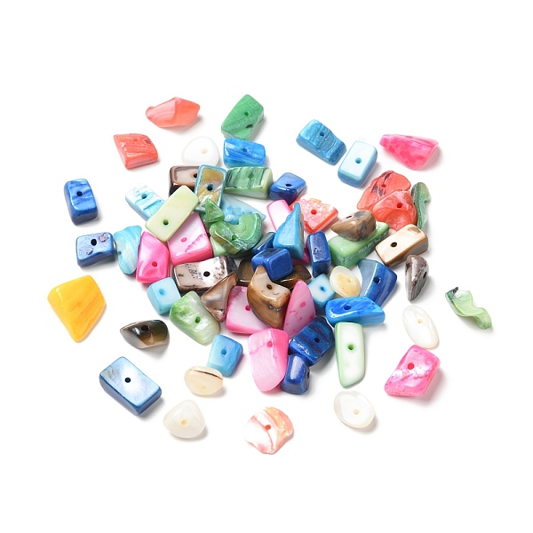 

PandaHall Natural Freshwater Shell Beads, Dyed, Nuggets Chips, Mixed Color, 9.5~18x7~11x2.5~6.5mm, Hole: 0.9mm, about 450pcs/500g Freshwater..., Multicolor