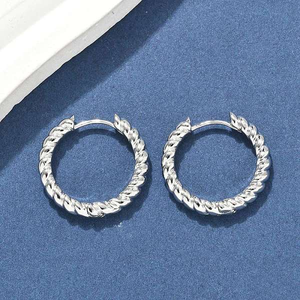Brass Hoop Earrings - image