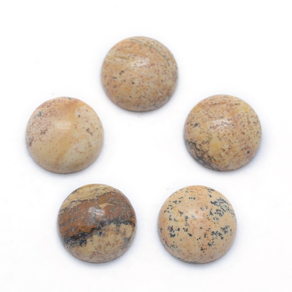 

PandaHall Natural Picture Jasper Cabochons, Half Round, 4x2~4mm Picture Jasper Half Round