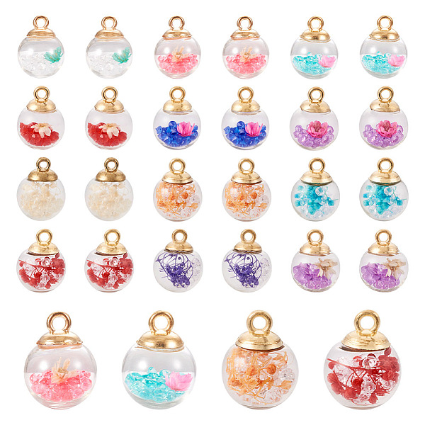 

PandaHall 48Pcs 12 Styles Transparent Glass Globe Pendants, with Dried Flower Inside and Golden ABS Plastic Pendant Bails, Round, Mixed..., Multicolor
