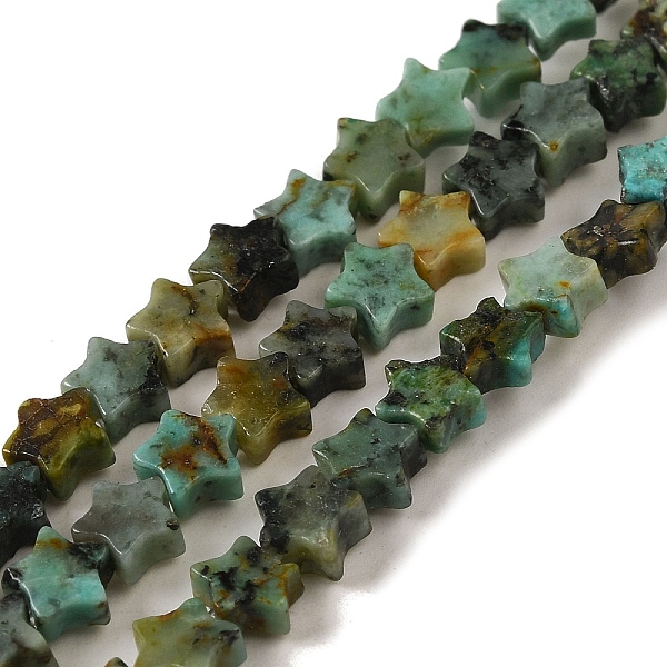 

PandaHall Natural African Turquoise(Jasper) Beads Strands, Star, 6x5.5x2mm, Hole: 0.8mm, about 75pcs/strand, 14.57 inch(37cm) African...