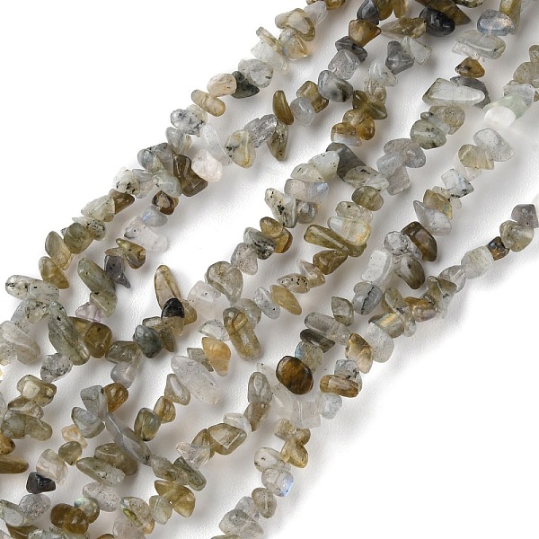 

PandaHall Natural Labradorite Beads Strands, Chip, 1.5~4.5x3~13x2.5~8mm, Hole: 0.6mm, 30.94~31.97 inch(78.6~81.2cm) Labradorite Chip