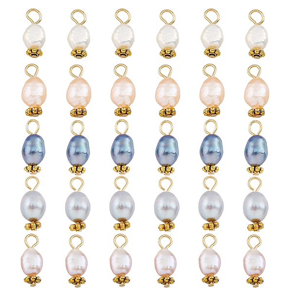 

PandaHall 30Pcs 5 Colors Natural Freshwater Shell Rice Charms, with Golden Tone 304 Stainless Steel Loops, Mixed Color, 14~15x4.5~6mm, Hole..., Multicolor