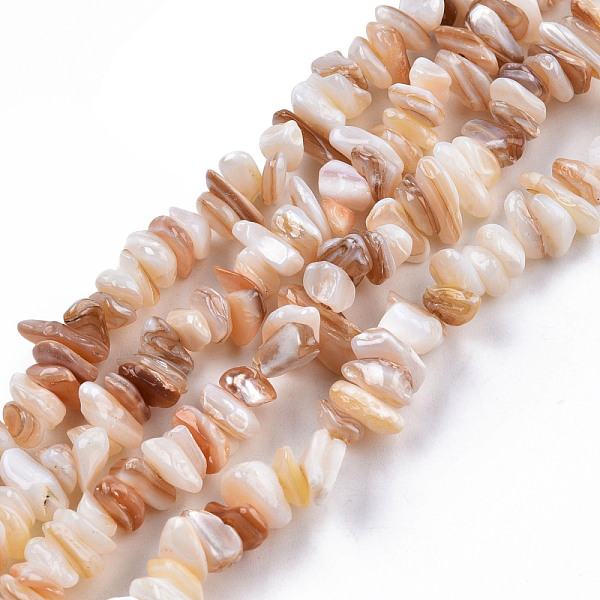 

PandaHall Natural Freshwater Shell Beads Strands, Nuggets Chips, 5~11x4~7x2~5mm, Hole: 0.8mm, about 291~313pcs/strand, 31.10 inch~31.50 inch...