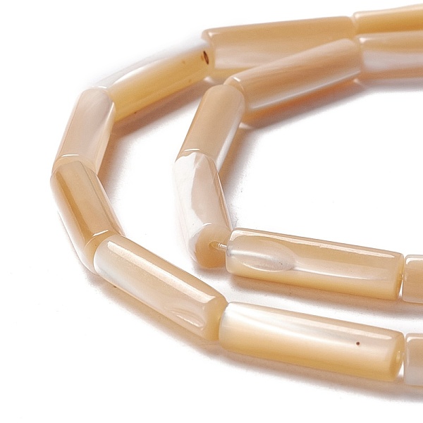 

PandaHall Natural Trochid Shell/Trochus Shell Beads, Straight Tube, Navajo White, 14x3.5~4mm, Hole: 0.8mm, about 29pcs/strand, 15.98 inch...