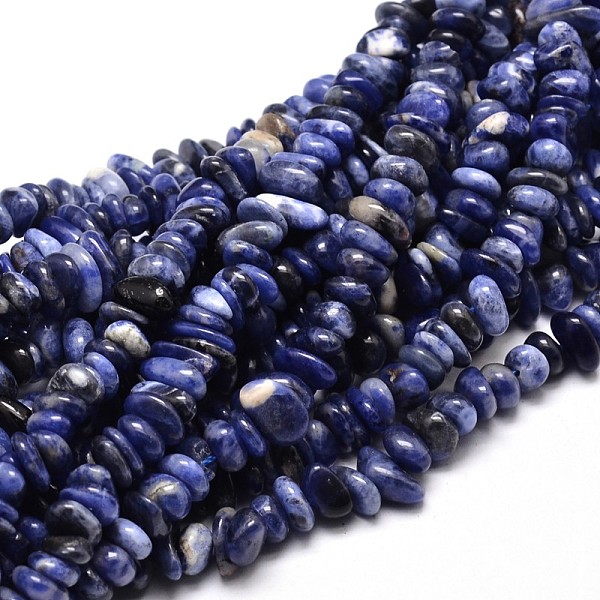 

PandaHall Natural Sodalite Chip Beads Strands, 4~14x4~12mm, Hole: 1mm, about 15.3 inch~16.1 inch Sodalite Chip
