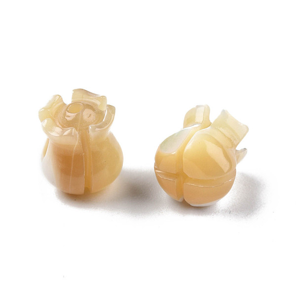

PandaHall Natural Trochid Shell/Trochus Shell Beads, Flower, 7.5~8x7x7mm, Hole: 1mm Trochus Shell Flower