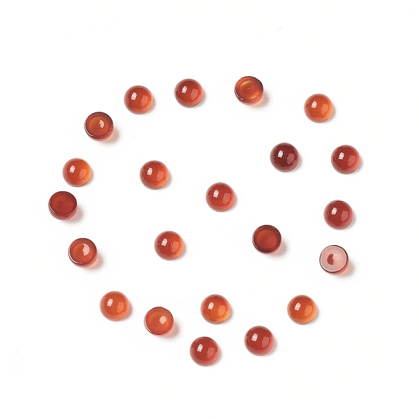 

PandaHall Natural Red Agate Cabochons, Half Round, 3x2mm Red Agate Half Round