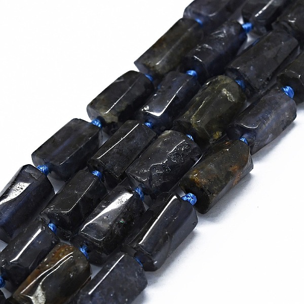 

PandaHall Natural Iolite Beads Strands, Cuboid, 11~13x6~8x6~8mm, Hole: 0.7mm, about 28~31pcs/strand, 15.94''~16.93''(40.5~43cm) Iolite...
