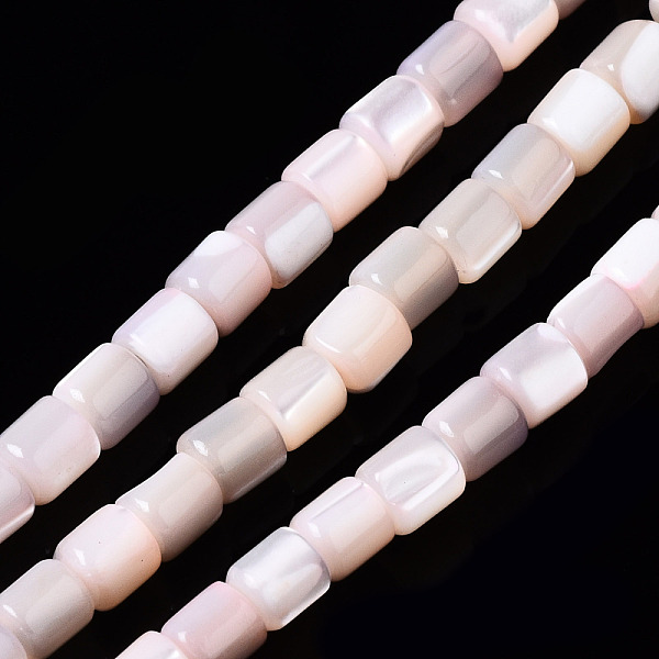 

PandaHall Natural Trochid Shell/Trochus Shell Bead Strands, Dyed, Column, Pink, 3.5x3.5mm, Hole: 1mm, about 111~117pcs/strand, 15.35...
