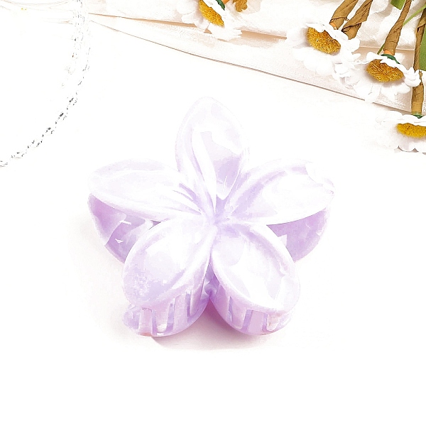 Resin Claw Hair Cli… - image