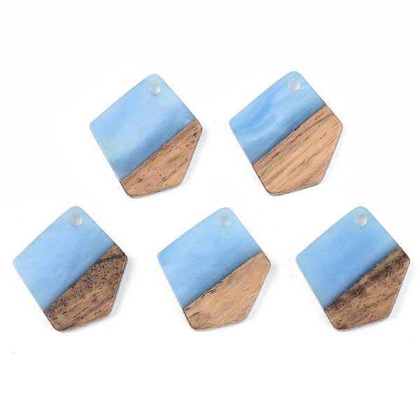 

PandaHall Opaque Resin & Walnut Wood Pendants, Polygon, Cornflower Blue, 21x18.5x3mm, Hole: 2mm Resin+Wood Polygon Blue
