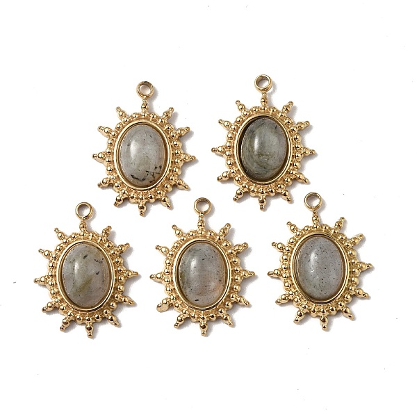 

PandaHall Vacuum Plating 201 Stainless Steel Natural Labradorite Pendants, Real 18K Gold Plated, Oval/Sun Charms, 18x13.5x4mm, Hole: 1.6mm...
