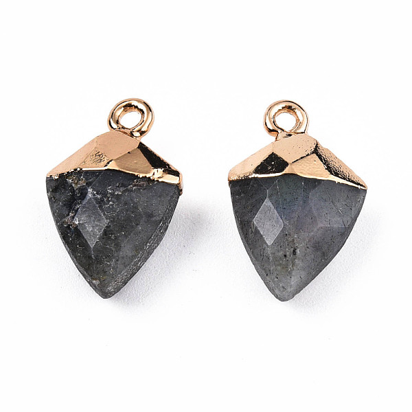 

PandaHall Natural Labradorite Pendants, with Light Gold Plated Iron Findings, Faceted, Kite Charm, 18.5x11.5~12x6mm, Hole: 1.6mm Labradorite...