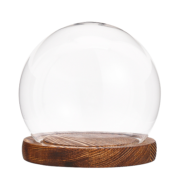 

PandaHall Glass Dome Cover, Decorative Display Case, Cloche Bell Jar Terrarium with Wood Base, Clear, 114x118mm Glass Round Clear