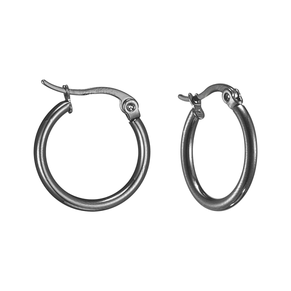 

PandaHall 304 Stainless Steel Hoop Earrings, Hypoallergenic Earrings, Ring Shape, Gunmetal, 12 Gauge, 19~21x2mm, Pin: 0.7~1.3x0.68mm 304...