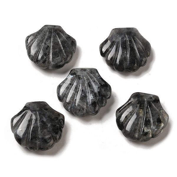 

PandaHall Natural Larvikite Carved Healing Shell Figurines, Reiki Energy Stone Display Decorations, 30~30.5x30x8~8.5mm Larvikite Shell Shape