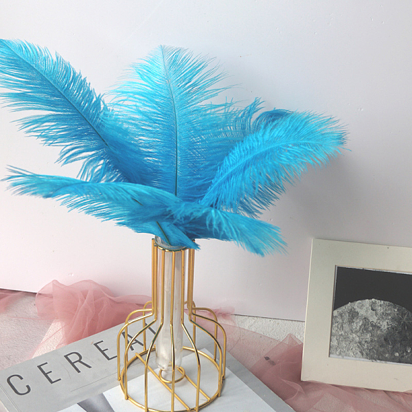 

PandaHall Ostrich Feather Ornament Accessories, for DIY Costume, Hair Accessories, Backdrop Craft, Deep Sky Blue, 200~250mm Feather Feather