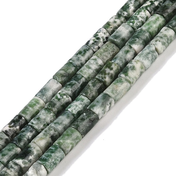 

PandaHall Natural Green Spot Jasper Beads Strands, Column, 7.5~8.5x5~6mm, Hole: 1mm, about 45~46pcs/strand, 14.69~15.04 inch(37.3~38.2cm)...