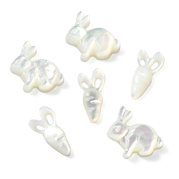

PandaHall 6Pcs 2 Styles Natural White Shell Beads, Carrot & Rabbit, Seashell Color, 11~11.5x6~12x2~3mm, Hole: 0.7~0.9mm, 3pcs/style White...