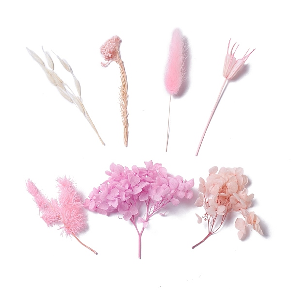 

PandaHall Dried Flowers, DIY Candle Soap Making Accessories, with Plastic Rectangle Box, Pearl Pink, 7~13x1.2~9.7cm Dried Flower