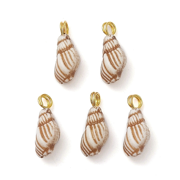 

PandaHall Acrylic Charms, Brass Loops, Conch, Golden, 14x6x5mm, Hole: 2mm Acrylic Others