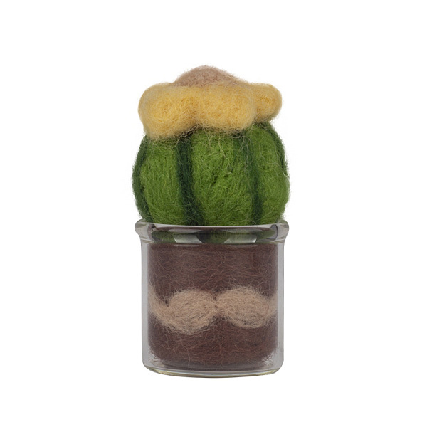 

PandaHall Succulent Plant Display Decoration Needle Felting Kit, with Iron Needles, Foam Chassis, Wool & Glass Cup, Mixed Color..., Multicolor