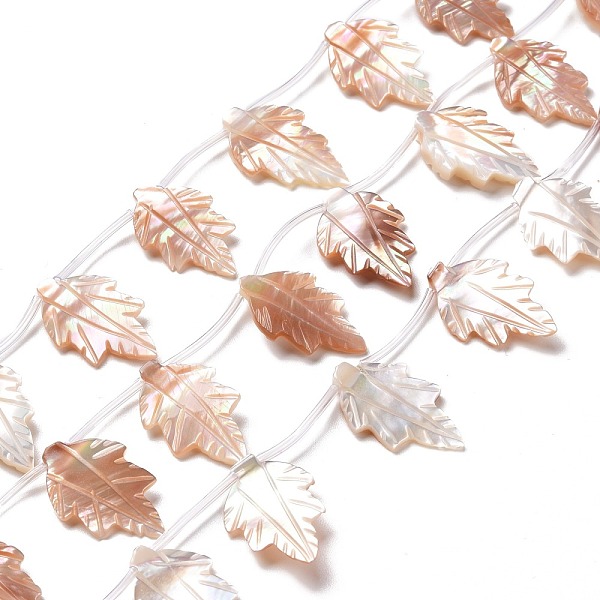 

PandaHall Autumn Theme Natural Sea Shell Beads Strands, Leaf, 23~24x13.5~14x3.5~5.5mm, Hole: 0.6mm, about 16pcs/strand, 15.16~15.55 inch...