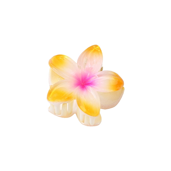 Plastic Claw Hair C… - image